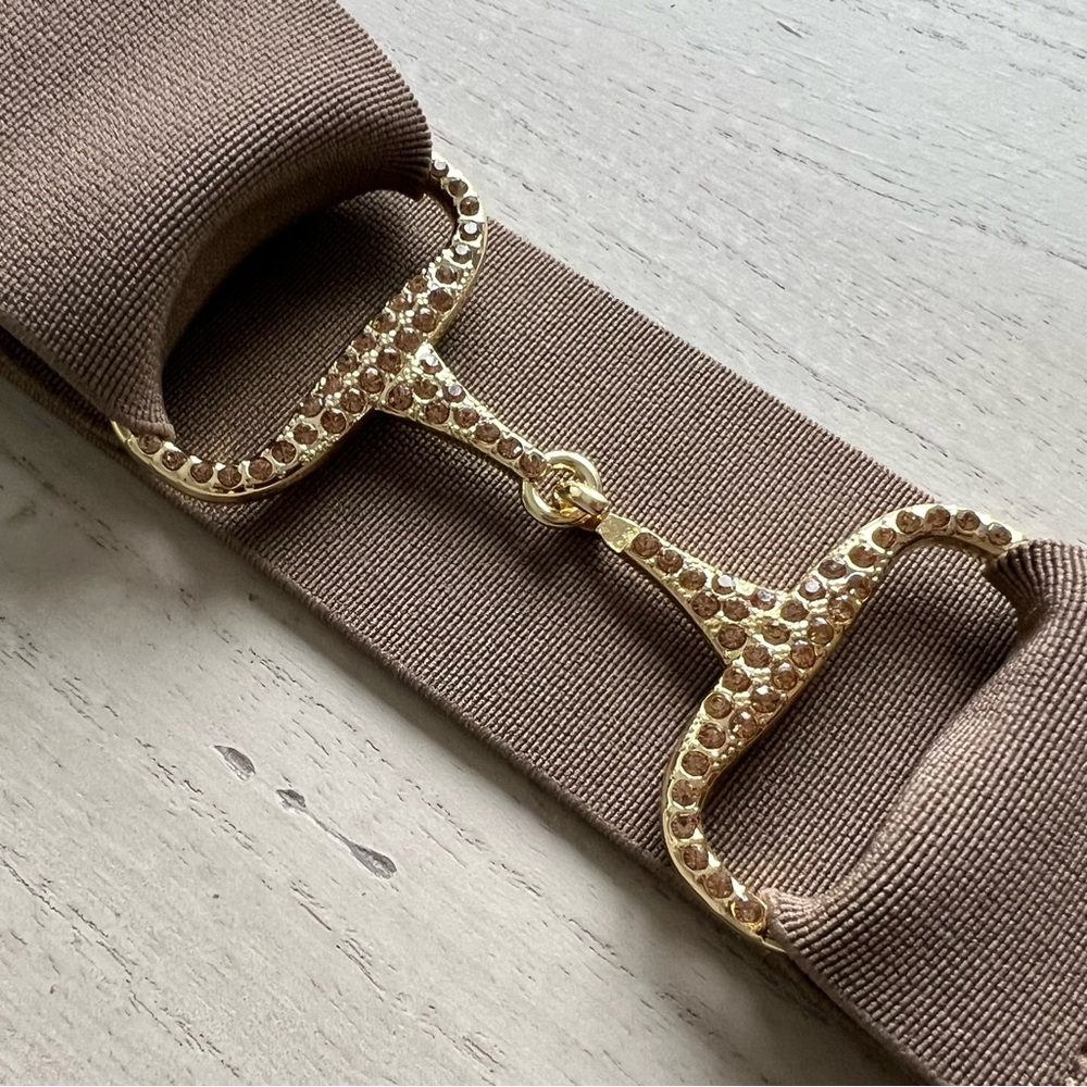 Gold-Tone Crystal Buckle Wide Elastic Belt in Taupe